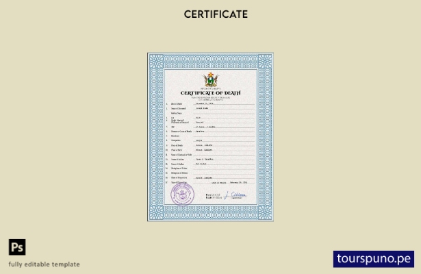 listo para imprimir plantilla de plantilla PSD de certificado de defunción de Zi